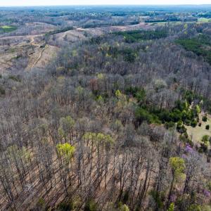 Photo #17 of SOLD property in Off Rice Road, Reidsville, NC 40.0 acres