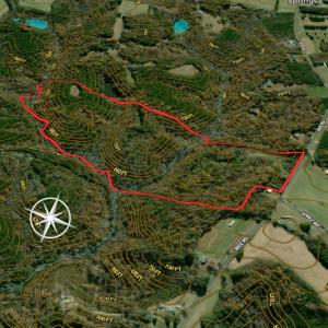 Photo #18 of SOLD property in Off Rice Road, Reidsville, NC 40.0 acres