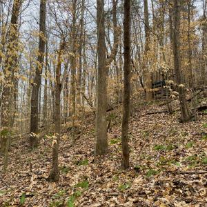 Photo #19 of Off Rice Road, Reidsville, NC 40.0 acres