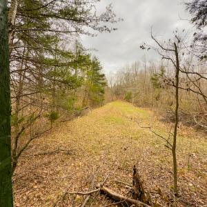 Photo #20 of SOLD property in Off Rice Road, Reidsville, NC 40.0 acres
