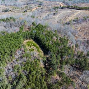Photo #21 of SOLD property in Off Rice Road, Reidsville, NC 40.0 acres