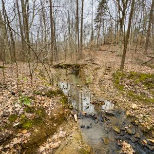 Photo #24 of SOLD property in Off Rice Road, Reidsville, NC 40.0 acres