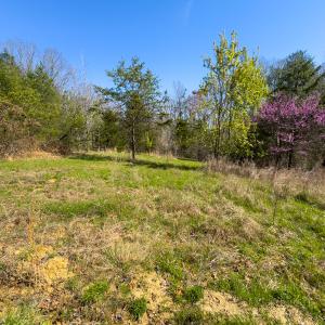 Photo #29 of SOLD property in Off Rice Road, Reidsville, NC 40.0 acres
