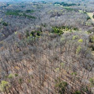Photo #30 of SOLD property in Off Rice Road, Reidsville, NC 40.0 acres