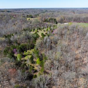 Photo #36 of SOLD property in Off Rice Road, Reidsville, NC 40.0 acres