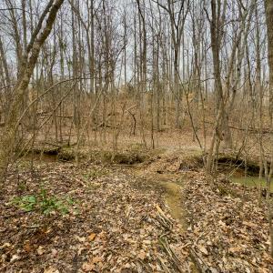Photo #37 of SOLD property in Off Rice Road, Reidsville, NC 40.0 acres