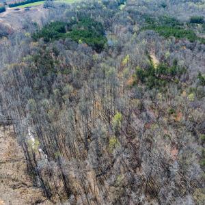 Photo #40 of SOLD property in Off Rice Road, Reidsville, NC 40.0 acres