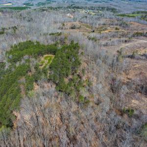 Photo #44 of SOLD property in Off Rice Road, Reidsville, NC 40.0 acres