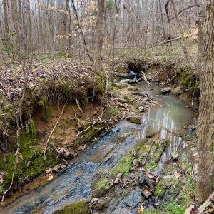 Photo #45 of SOLD property in Off Rice Road, Reidsville, NC 40.0 acres