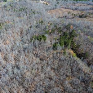 Photo #47 of SOLD property in Off Rice Road, Reidsville, NC 40.0 acres