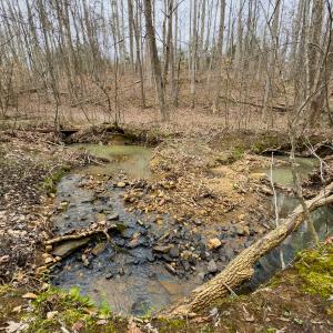 Photo #50 of SOLD property in Off Rice Road, Reidsville, NC 40.0 acres