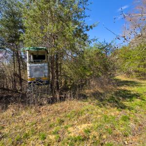 Photo #52 of SOLD property in Off Rice Road, Reidsville, NC 40.0 acres