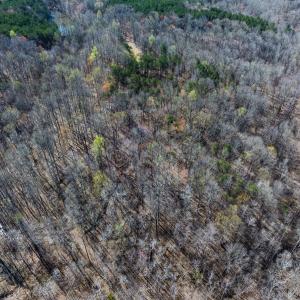 Photo #53 of SOLD property in Off Rice Road, Reidsville, NC 40.0 acres