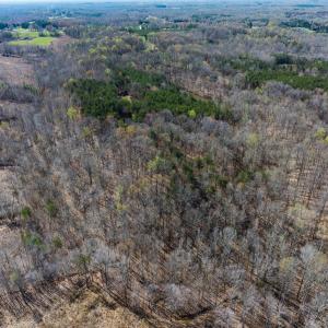 Photo #56 of SOLD property in Off Rice Road, Reidsville, NC 40.0 acres