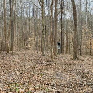 Photo #57 of SOLD property in Off Rice Road, Reidsville, NC 40.0 acres
