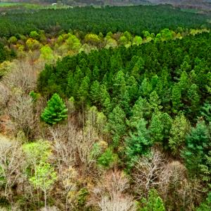 Photo #2 of SOLD property in Off Coopers Mountain Rd, Martinsville, VA 36.4 acres