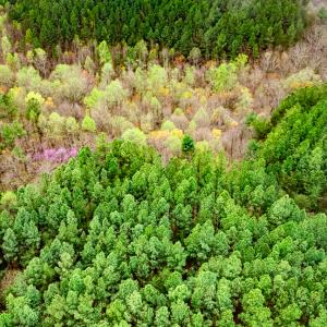 Photo #6 of SOLD property in Off Coopers Mountain Rd, Martinsville, VA 36.4 acres