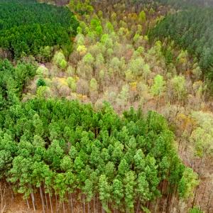 Photo #7 of SOLD property in Off Coopers Mountain Rd, Martinsville, VA 36.4 acres