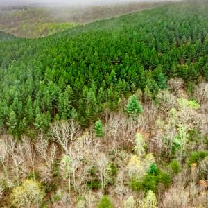Photo #8 of SOLD property in Off Coopers Mountain Rd, Martinsville, VA 36.4 acres