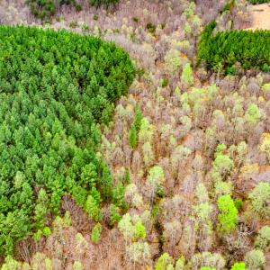 Photo #9 of SOLD property in Off Coopers Mountain Rd, Martinsville, VA 36.4 acres