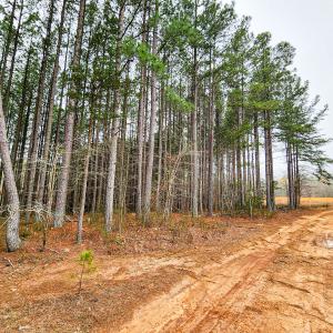 Photo #11 of SOLD property in Off Coopers Mountain Rd, Martinsville, VA 36.4 acres
