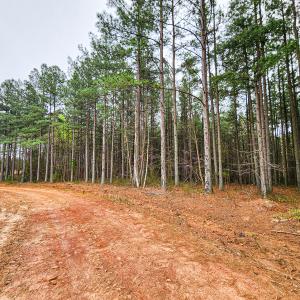 Photo #12 of SOLD property in Off Coopers Mountain Rd, Martinsville, VA 36.4 acres