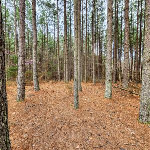 Photo #13 of SOLD property in Off Coopers Mountain Rd, Martinsville, VA 36.4 acres