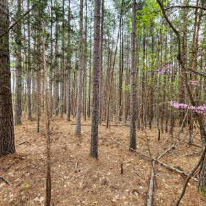 Photo #16 of SOLD property in Off Coopers Mountain Rd, Martinsville, VA 36.4 acres