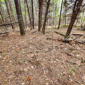 Photo #18 of SOLD property in Off Coopers Mountain Rd, Martinsville, VA 36.4 acres