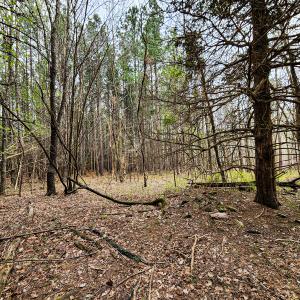 Photo #19 of SOLD property in Off Coopers Mountain Rd, Martinsville, VA 36.4 acres