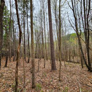 Photo #21 of SOLD property in Off Coopers Mountain Rd, Martinsville, VA 36.4 acres