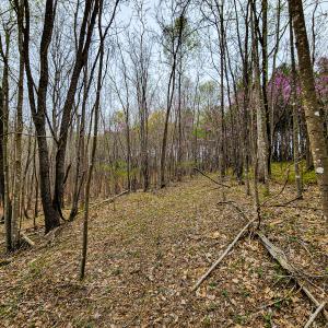 Photo #22 of SOLD property in Off Coopers Mountain Rd, Martinsville, VA 36.4 acres