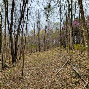 Photo #22 of Off Coopers Mountain Rd, Martinsville, VA 36.4 acres