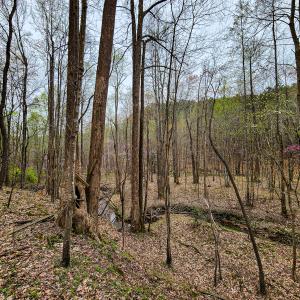 Photo #23 of Off Coopers Mountain Rd, Martinsville, VA 36.4 acres