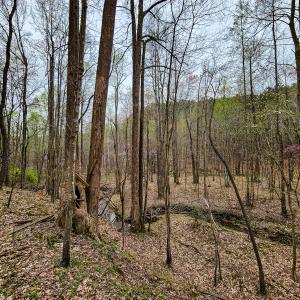 Photo #23 of SOLD property in Off Coopers Mountain Rd, Martinsville, VA 36.4 acres