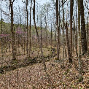 Photo #24 of SOLD property in Off Coopers Mountain Rd, Martinsville, VA 36.4 acres