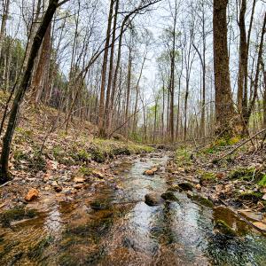 Photo #26 of SOLD property in Off Coopers Mountain Rd, Martinsville, VA 36.4 acres