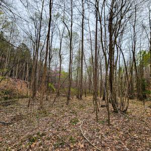 Photo #27 of SOLD property in Off Coopers Mountain Rd, Martinsville, VA 36.4 acres