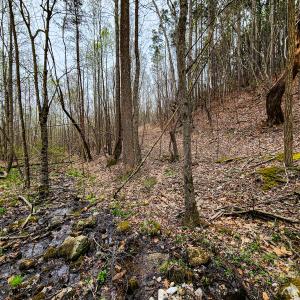 Photo #29 of SOLD property in Off Coopers Mountain Rd, Martinsville, VA 36.4 acres