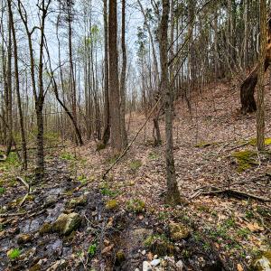 Photo #29 of Off Coopers Mountain Rd, Martinsville, VA 36.4 acres