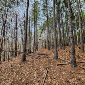 Photo #31 of SOLD property in Off Coopers Mountain Rd, Martinsville, VA 36.4 acres