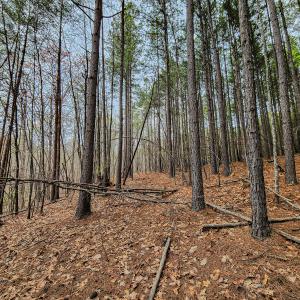 Photo #31 of Off Coopers Mountain Rd, Martinsville, VA 36.4 acres