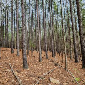 Photo #32 of SOLD property in Off Coopers Mountain Rd, Martinsville, VA 36.4 acres