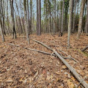Photo #33 of SOLD property in Off Coopers Mountain Rd, Martinsville, VA 36.4 acres