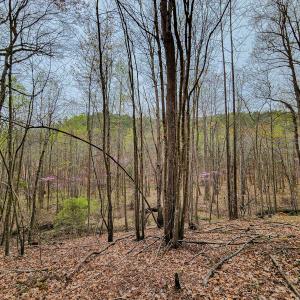 Photo #34 of SOLD property in Off Coopers Mountain Rd, Martinsville, VA 36.4 acres