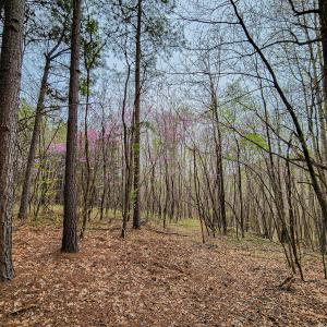 Photo #35 of SOLD property in Off Coopers Mountain Rd, Martinsville, VA 36.4 acres