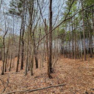 Photo #36 of SOLD property in Off Coopers Mountain Rd, Martinsville, VA 36.4 acres