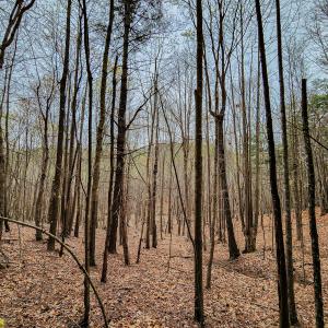 Photo #37 of SOLD property in Off Coopers Mountain Rd, Martinsville, VA 36.4 acres