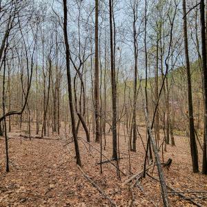 Photo #38 of Off Coopers Mountain Rd, Martinsville, VA 36.4 acres