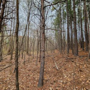 Photo #39 of SOLD property in Off Coopers Mountain Rd, Martinsville, VA 36.4 acres